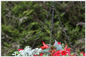 Hanging basket 1
